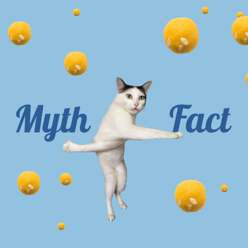 What is Stevia: A Short Story About Stevia Benefits, Myths and Facts! Thumbnail