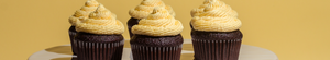 Sweet Treat: No Gluten Sugar Free Cupcakes In Minutes!